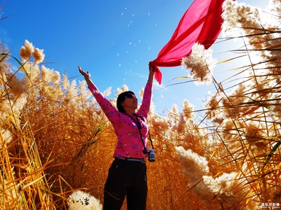 【光影交錯(cuò)的世界】+光影很美，我用S7來(lái)記錄