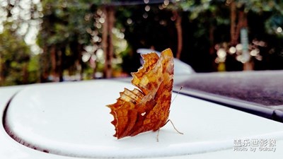 落腳處