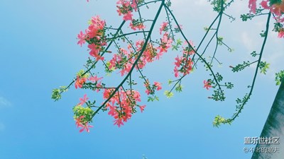 隨手一拍