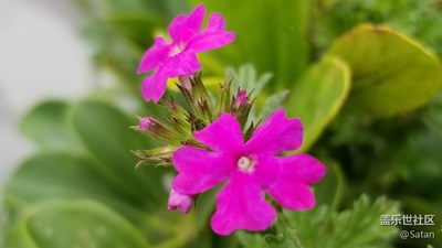 Note8隨拍