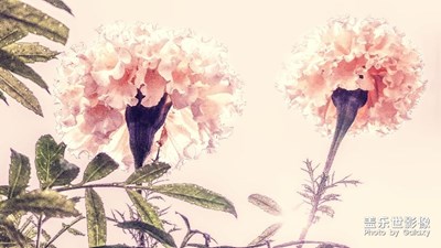拍才知道+陽光下