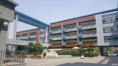 同一個城市的兩個小學，差距咋就這么大囁