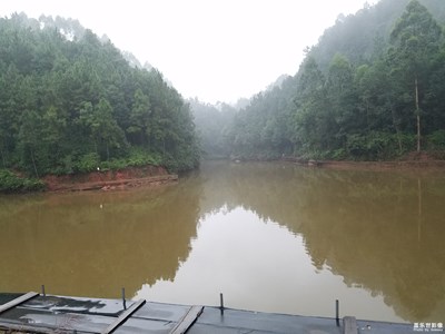 工會釣魚比賽