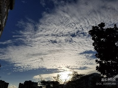 更新天氣報