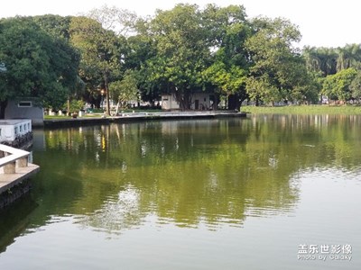美美噠