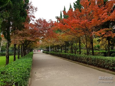 瞬間感覺(jué)到了秋天