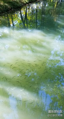 秋氣輕寒可人天。