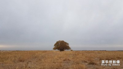 拍，才知道+隨拍