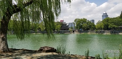 楊柳岸