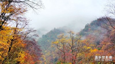 拍才知道《秋d色彩》