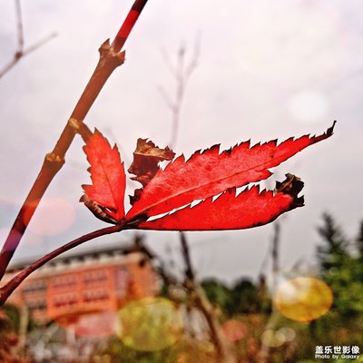 冬天