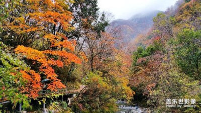 我眼中的11月 《霜葉紅于二月花》