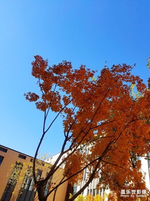 秋天