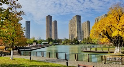 秋去初寒，層林盡染，霜重色愈濃。