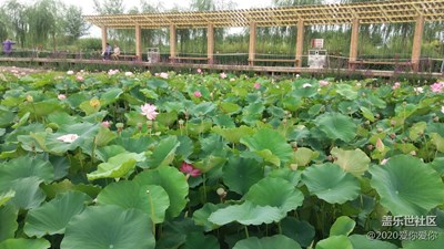 張掖國家濕地公園