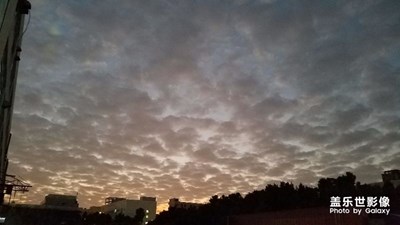 高山下的景色