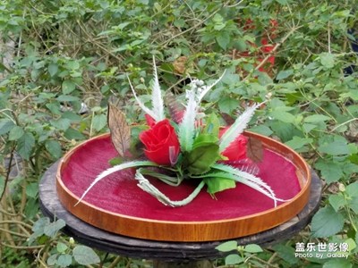 枯葉蝶