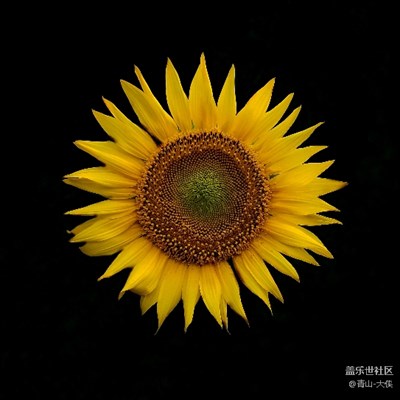 花花 世界…