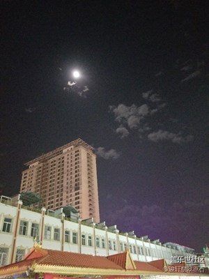 夜色下，緬甸翡翠開包，紫羅蘭翡翠手鐲料