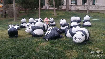 萌寵一群