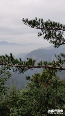 神仙居一日游