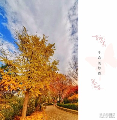 閑游隨拍