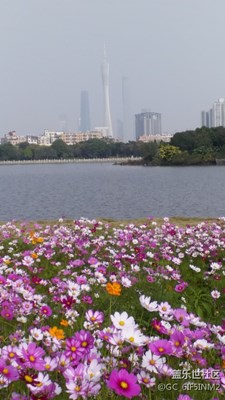 百花綻放