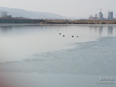 天水渭河河岸。