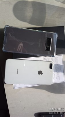 牛8隨拍