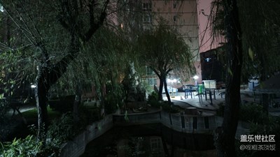 牛八隨拍