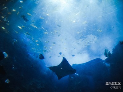 廣州水族館