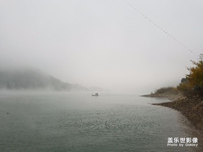 霧