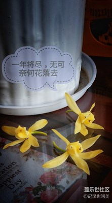 無(wú)可奈何花落去