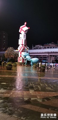 公園夜景
