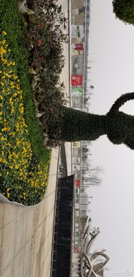 美麗湘潭。。。。