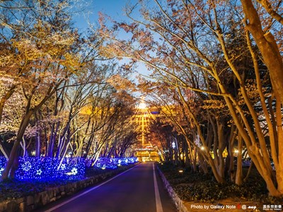 平昌冬奧會(huì)火炬手行攝——景物篇