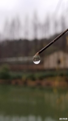 水珠子