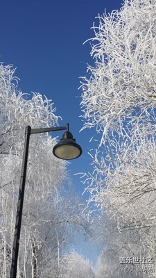 沉醉在銀裝素裹的冰雪世界