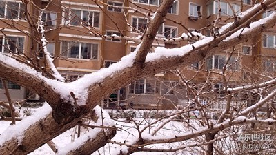 雪