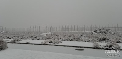 下雪了