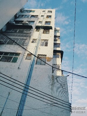 隨手拍