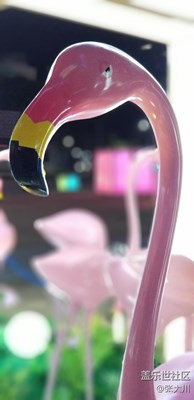隨拍