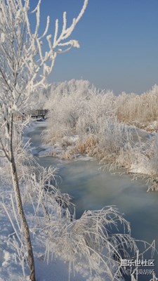 冰封溪流