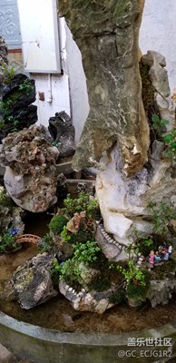 想買(mǎi)一個(gè)回家擺