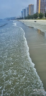 海灘、日落、貝殼、鮮花……2018.01.21一個(gè)發(fā)呆的日子[囧]