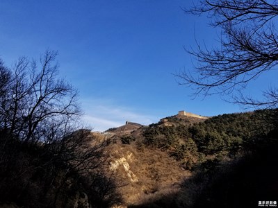 冬日里的八達(dá)嶺野生動(dòng)物園