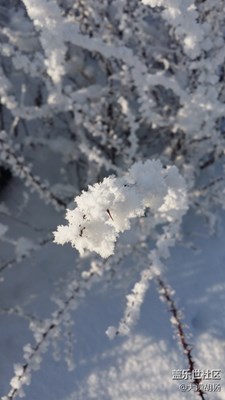 銀裝素裹