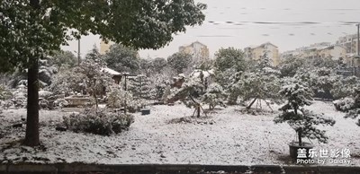 2018年蘇州雪景