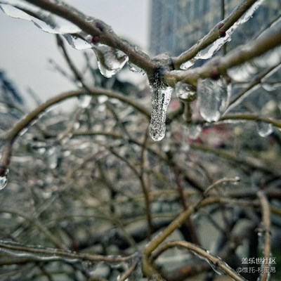 武漢遲到的冬天，終于迎來初雪！冬天快樂！