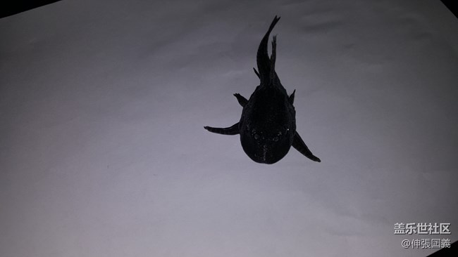 清道夫……